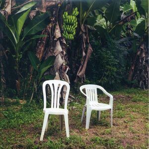Bad Bunny - Debi Tirar Mas Fotos (2xLP) (white vinyl) - Vinyl LP